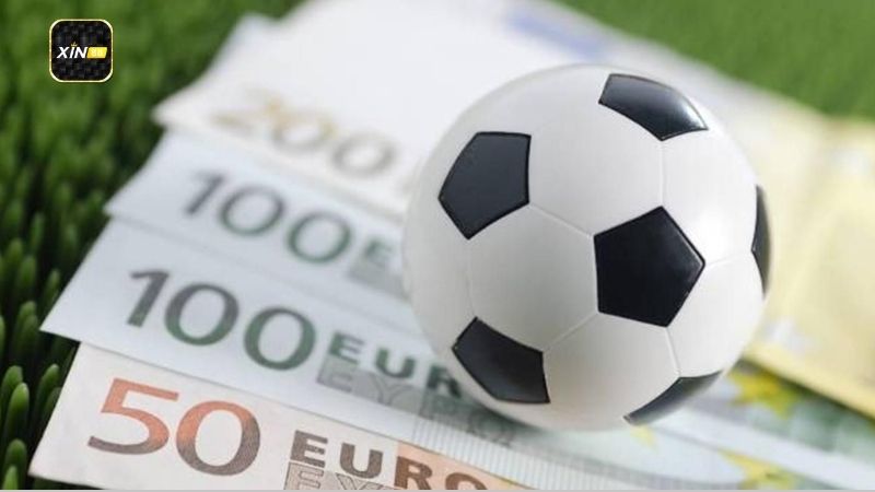 Thể Thao Xin88 - Khám Phá Thế Giới Cá Cược Thể Thao Đỉnh Cao 2 he-thong-cuoc-va-ty-le-cuoc